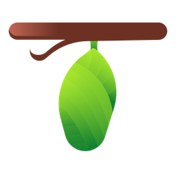 Chrysalis  Icon