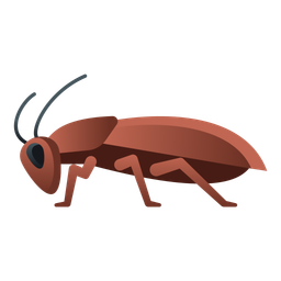 Cockroach  Icon