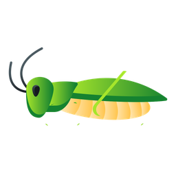 Grasshopper  Icon