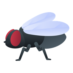 Housefly  Icon