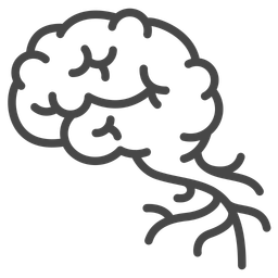 Brain  Icon