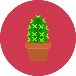 Cactus  Icon