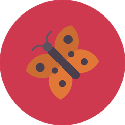 Butterfly  Icon