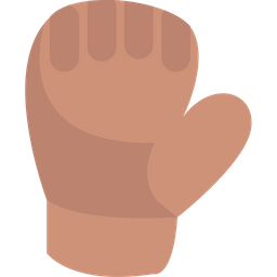 Boxing Glove  Icon