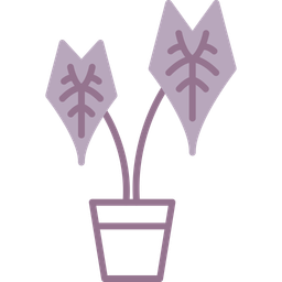 Alocasia  Icon