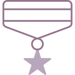 Army medal  Icon