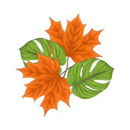 Leaf  Icon