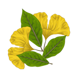 Leaf  Icon