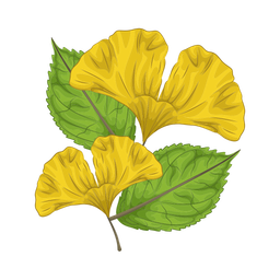 Leaf  Icon