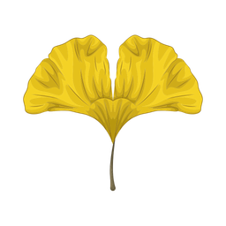 Ginkgo leaf  Icon