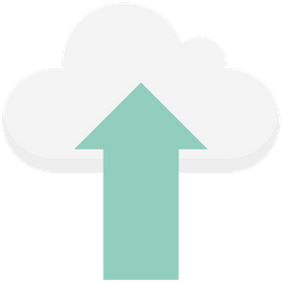 Cloud Network  Icon