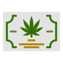 Certificate Marijuana  Icon