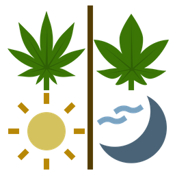 Uso de cannabis  Ícone