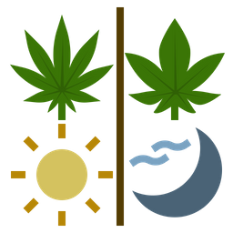 Cannabis Usage  Icon