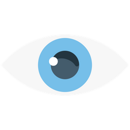 Eye  Icon