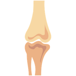 뼈 관절  아이콘