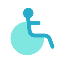 Accessibility  Icon