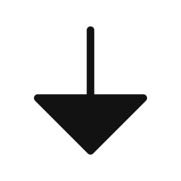 Arrow Down  Icon