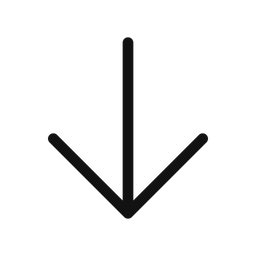 Arrow Down  Icon