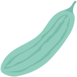 Bitter Gourd  Icon