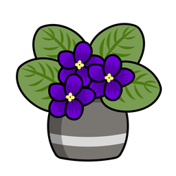 African violet  Icon