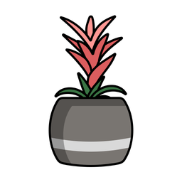 Bromeliads  Icon