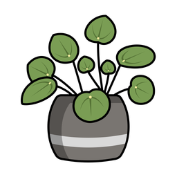 Chinese money plant  Icon