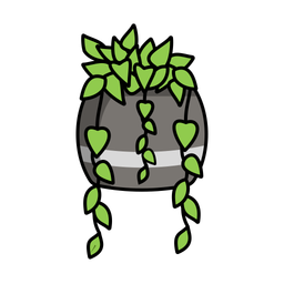 Devils ivy  Icon