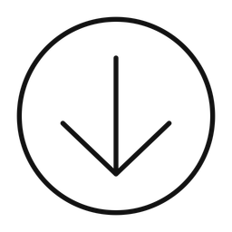 Arrow Down Circle  Icon