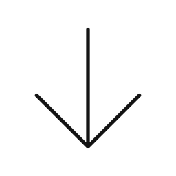 Arrow Down  Icon