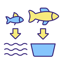 Taille du poisson  Icône