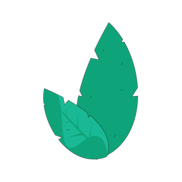 Leaf  Icon