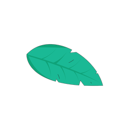 Leaf  Icon