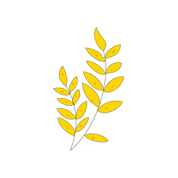 Leaf  Icon