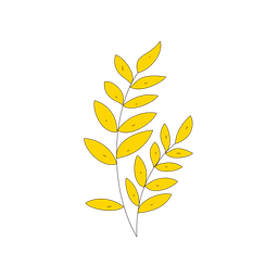 Leaf  Icon