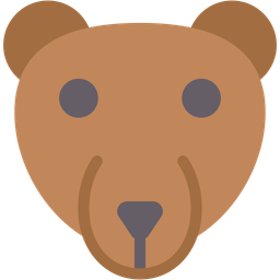 Bear  Icon