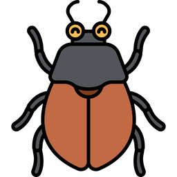 Beetle  Icon