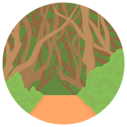 Forest  Icon