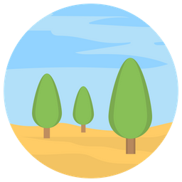 Forest Landscape Fir Trees Pine Trees Icon