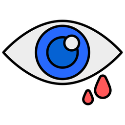 Eye  Icon