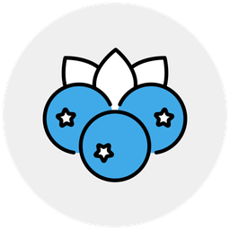 Blueberry  Icon