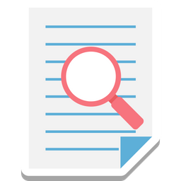 File Search  Icon