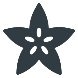Karambole Frucht Stern Symbol