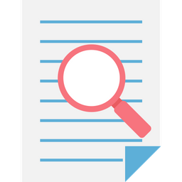 File Search  Icon