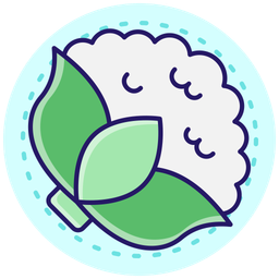 Cauliflower  Icon