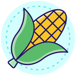 Corn  Icon