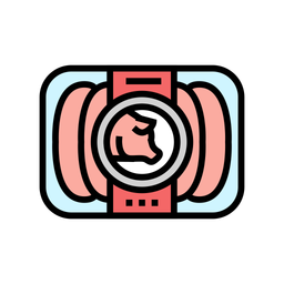 Pork Packet  Icon