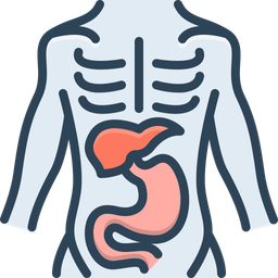 Anatomy  Icon