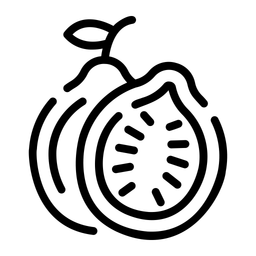 Guave  Symbol