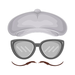 Hat with glasses and mustache  Icon